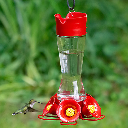 Perky Pet Glass Hummingbird Feeder
